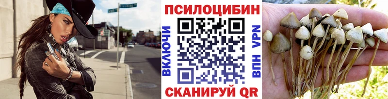 MEGA ССЫЛКА Великий Устюг Галлюциногенные грибы MAGIC MUSHROOMS